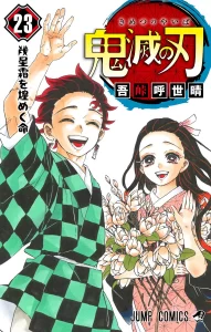 Demon Slayer Demon Slayer