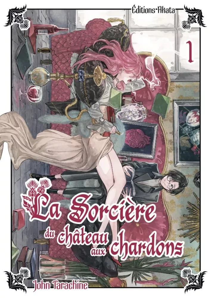 La Sorcière du château aux chardons La Sorcière du château aux chardons