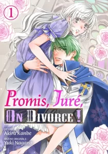 Promis, juré, on divorce !